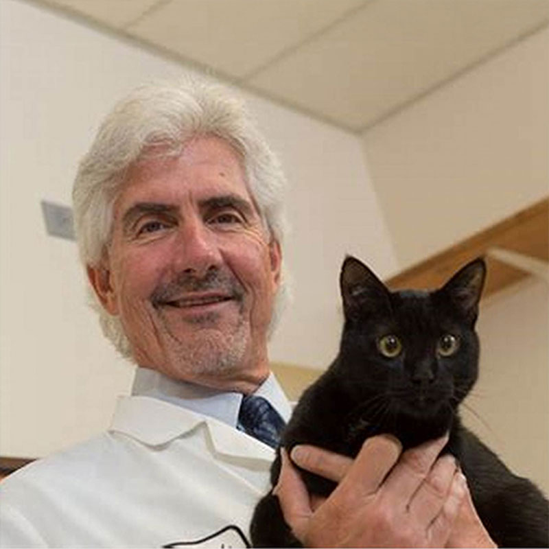 Professor Michael Lappin